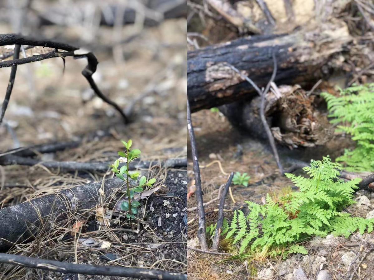 ΢��ͼƬ_20230417134917